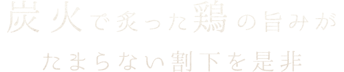 炭火で炙った地鶏の旨みが